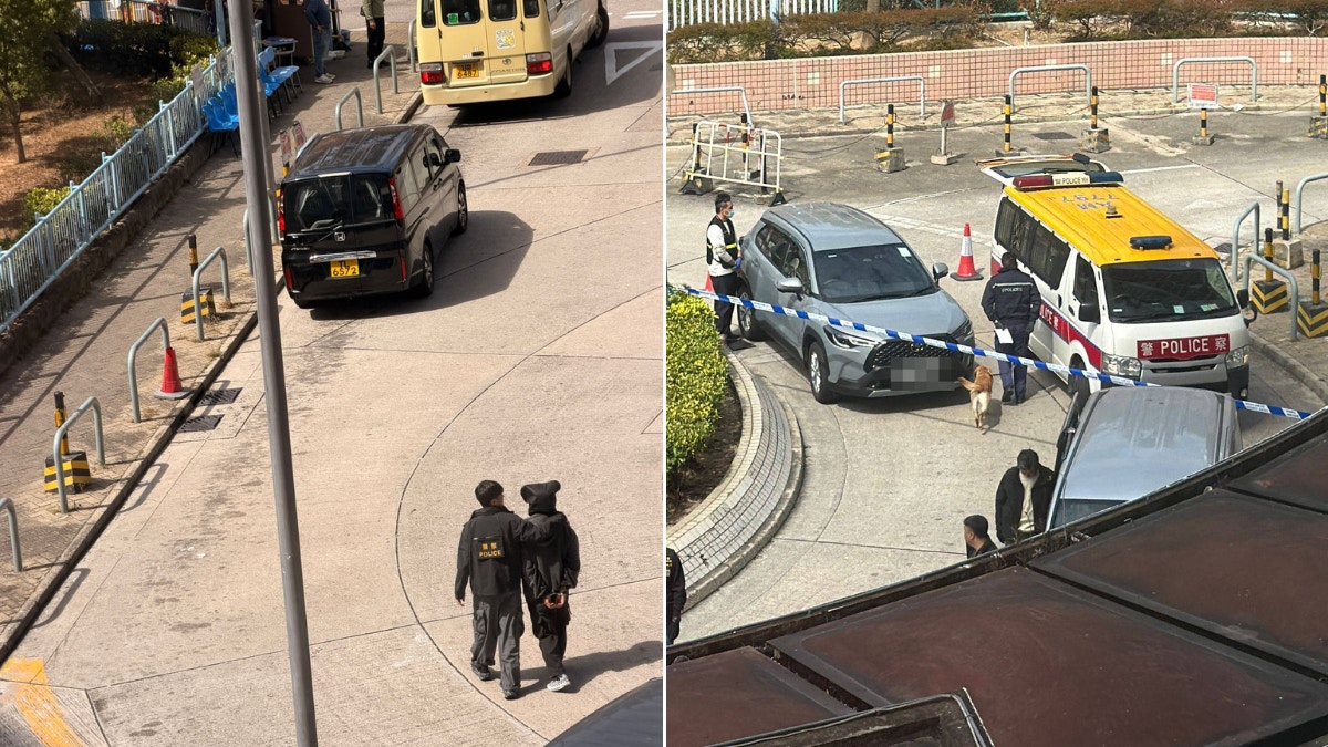 反黑組長亨邨截毒的士 檢可卡因K仔依托咪酯 拘2人包括17歲仔