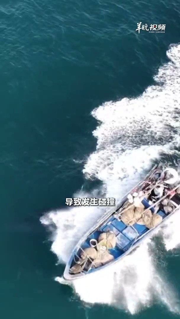 近日，在广西涠洲岛海域，有网友航拍发现，一艘渔船直接从一头布氏鲸身上开过，造成出水换气的鲸鱼背部受伤。2月10日上午，涠洲岛农业农村局回复记者表示，已有相关部门对接处理。（羊城晚报）