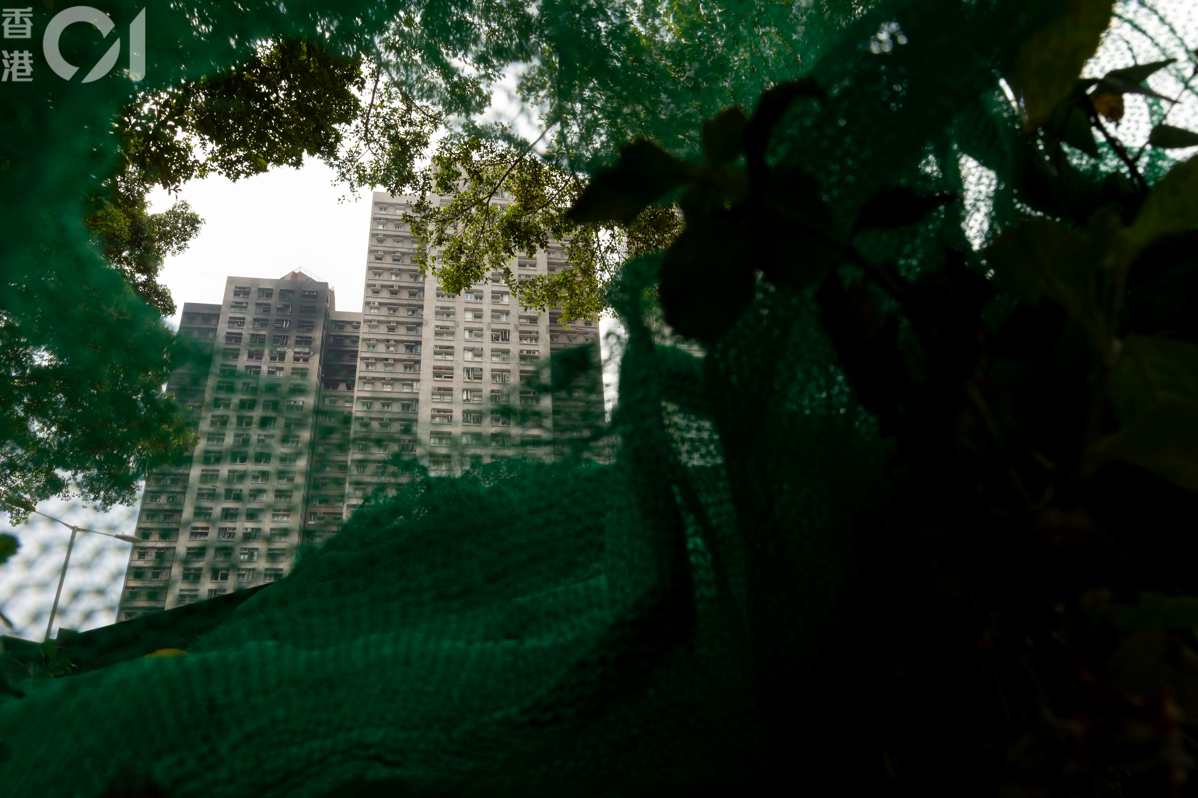 宏福苑｜孫玉菡：一戶一社工服務不設時限　社署將配合解說專隊