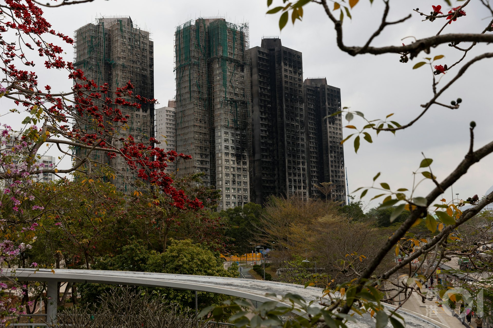 大埔宏福苑於2025年11月26日發生五級火災,政府委派的承辦商已拆除半數棚架。(資料圖片/夏家朗攝) 大埔宏福苑於2025年11月26日發生五級火災,政府委派的承辦商已拆除半數棚架。(資料圖片/夏家朗攝)