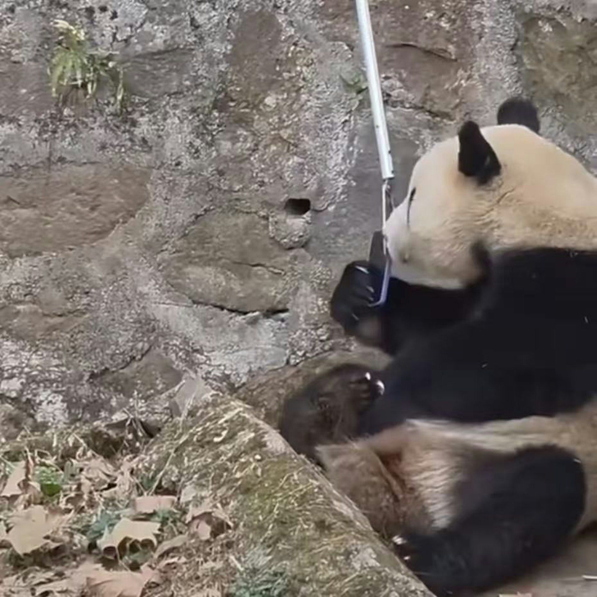 圖檔