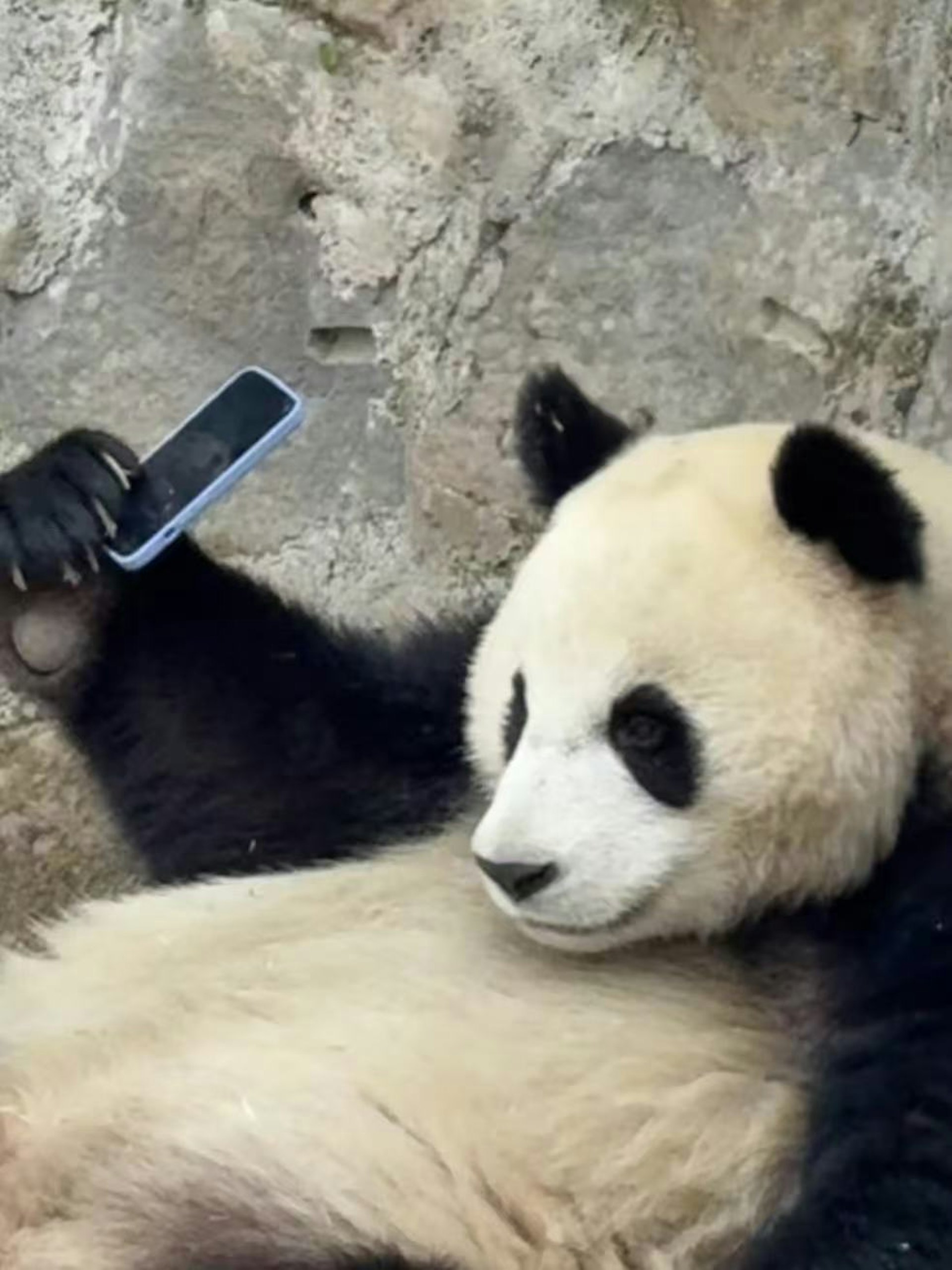 圖檔