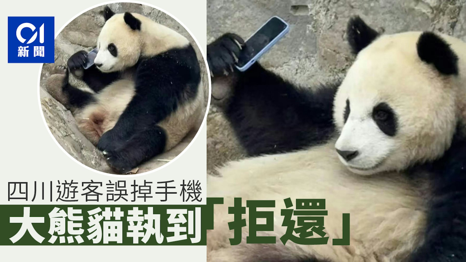圖檔