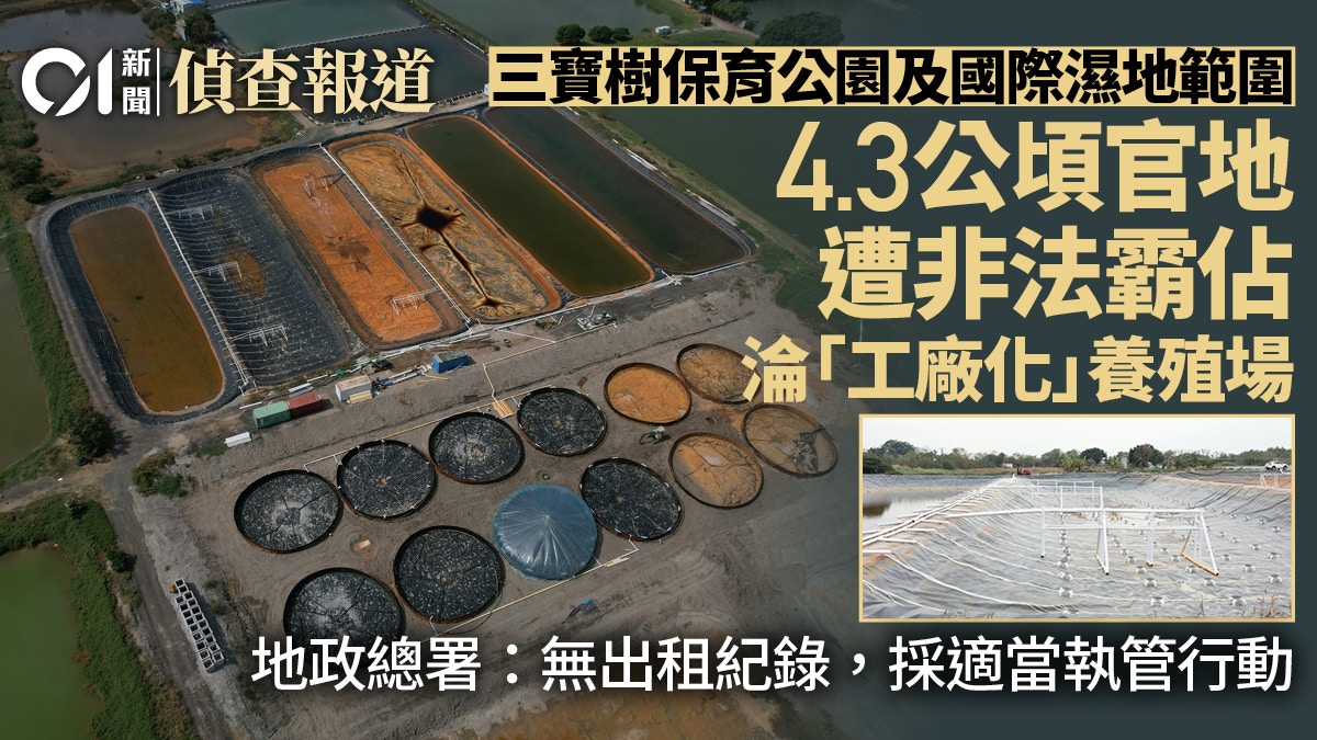 四公頃國際濕地、三寶樹保育公園官地被非法霸佔建工廠化養殖場