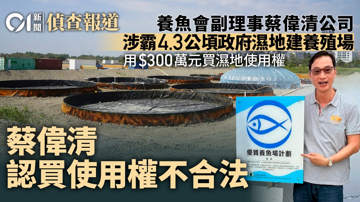 三寶樹濕地霸佔者為養魚會理事 認買使用權不合法 政府指無出租