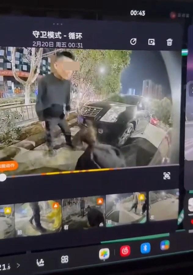 女子在“车CAM”前脱下长裤“半裸”蹲在车旁地上便溺。