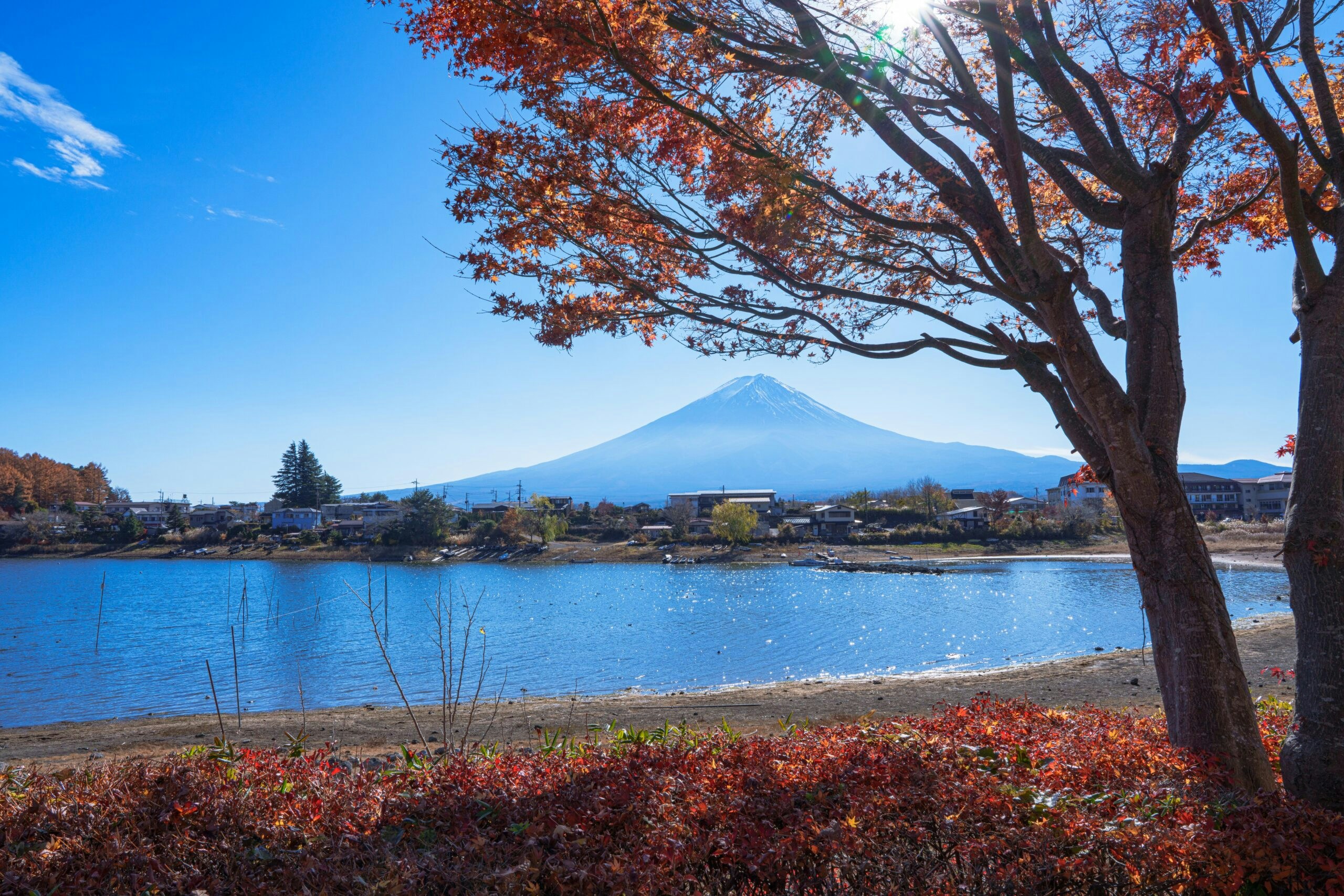 日本富士山河口湖官網圖片（town.fujikawaguchiko.lg.jp）