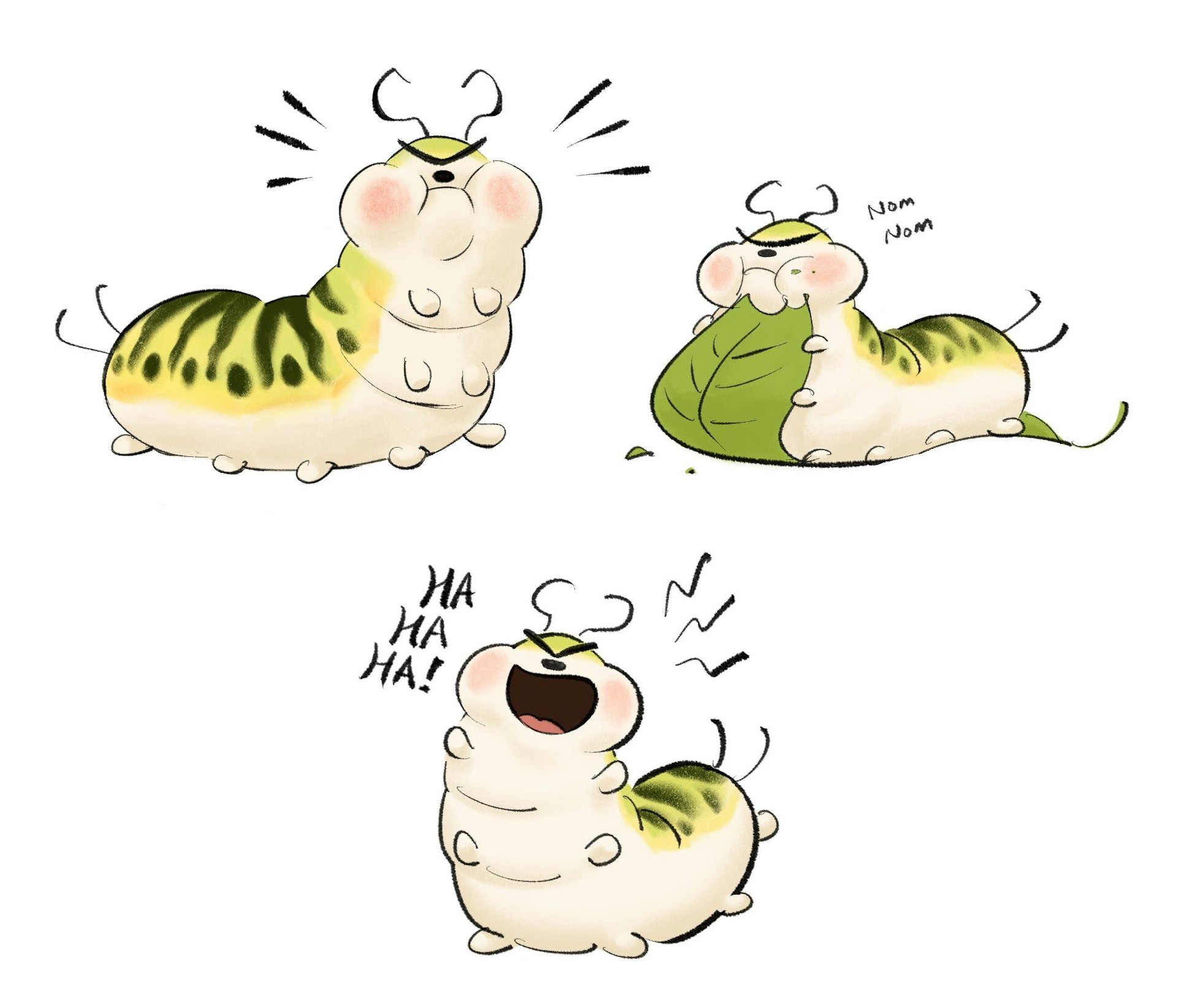 圖檔
