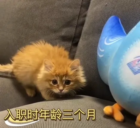 圖檔