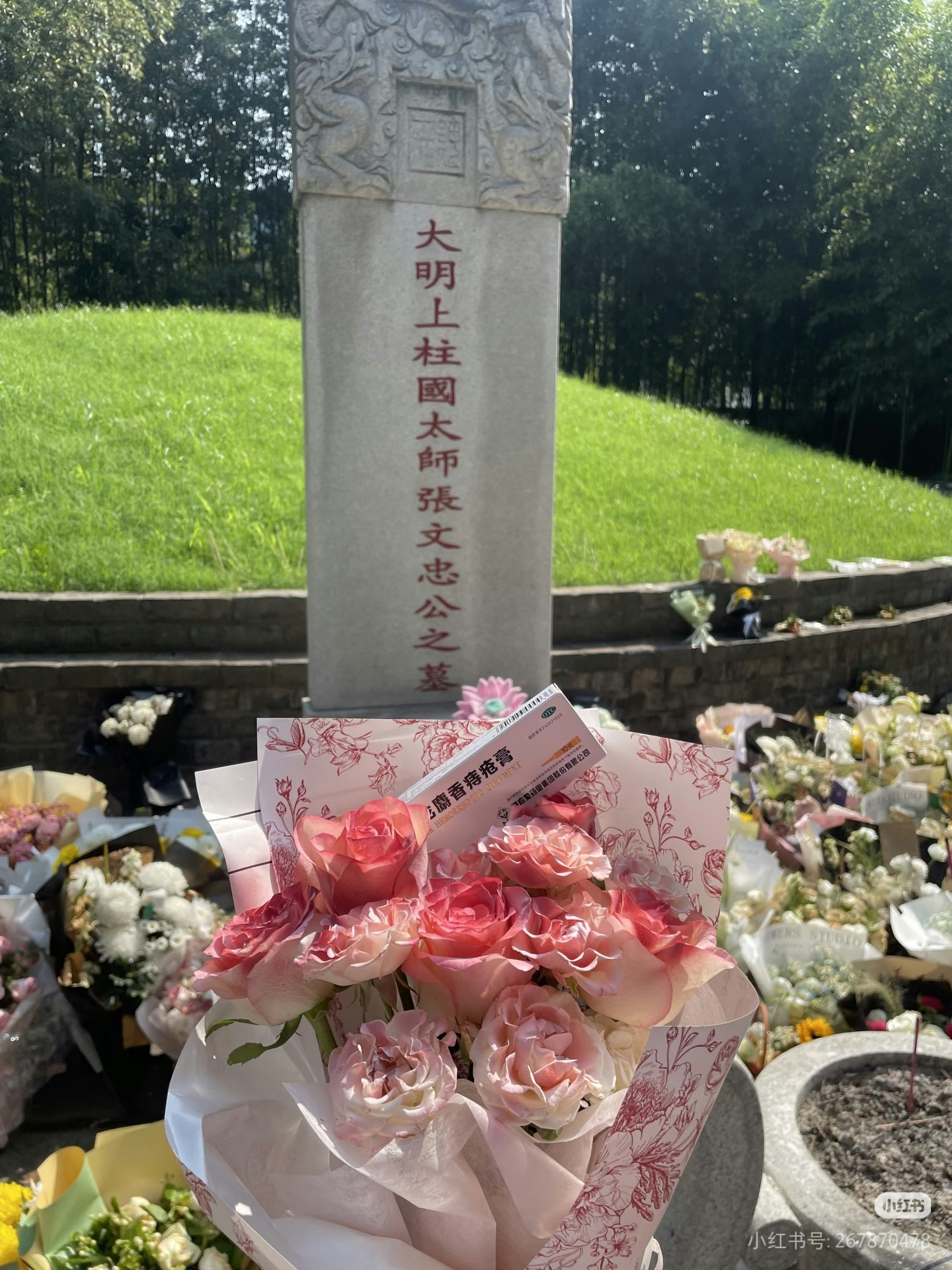 圖檔