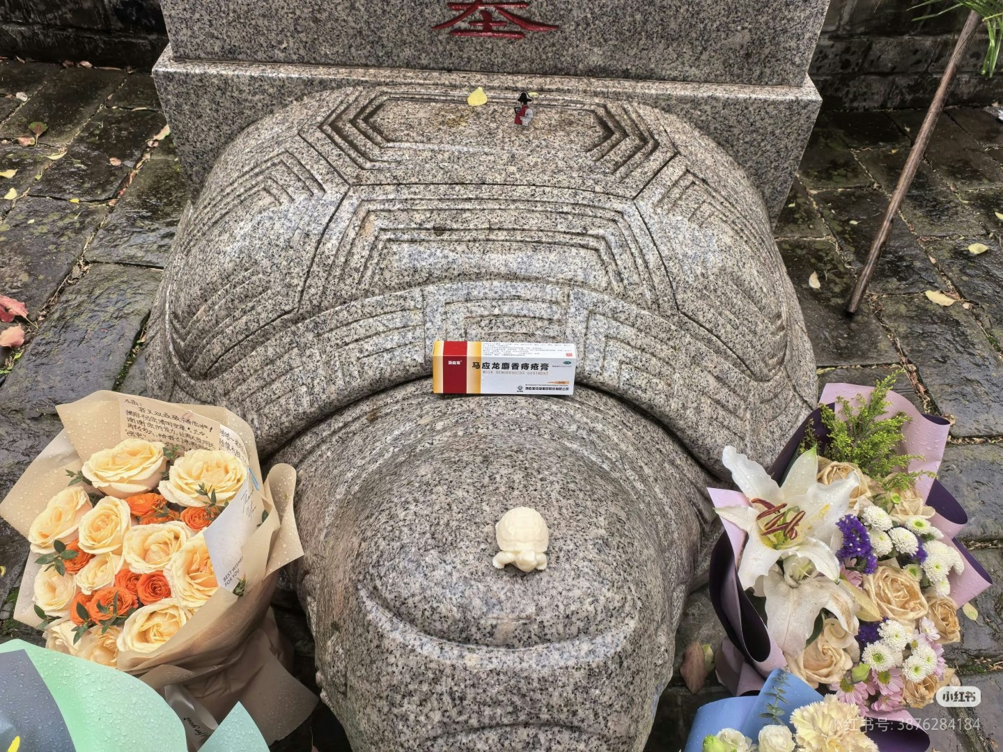 圖檔