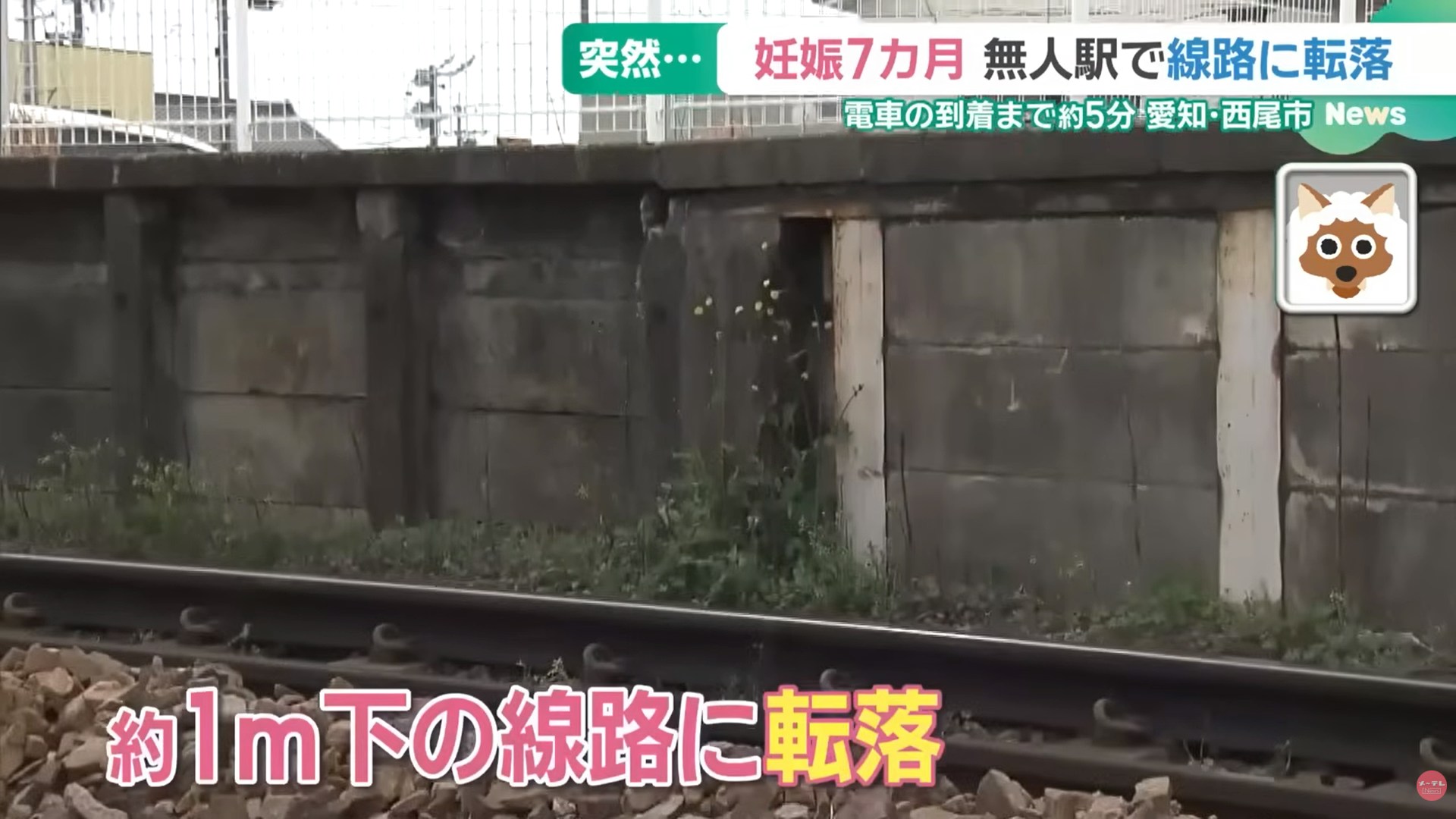 圖檔