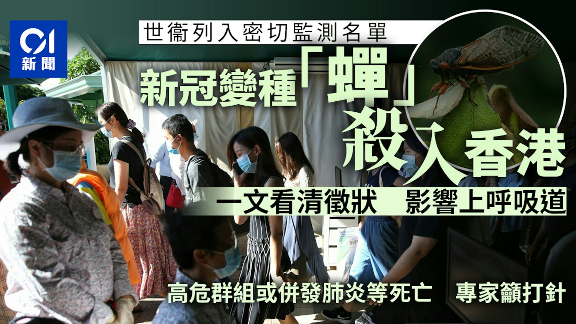 圖檔