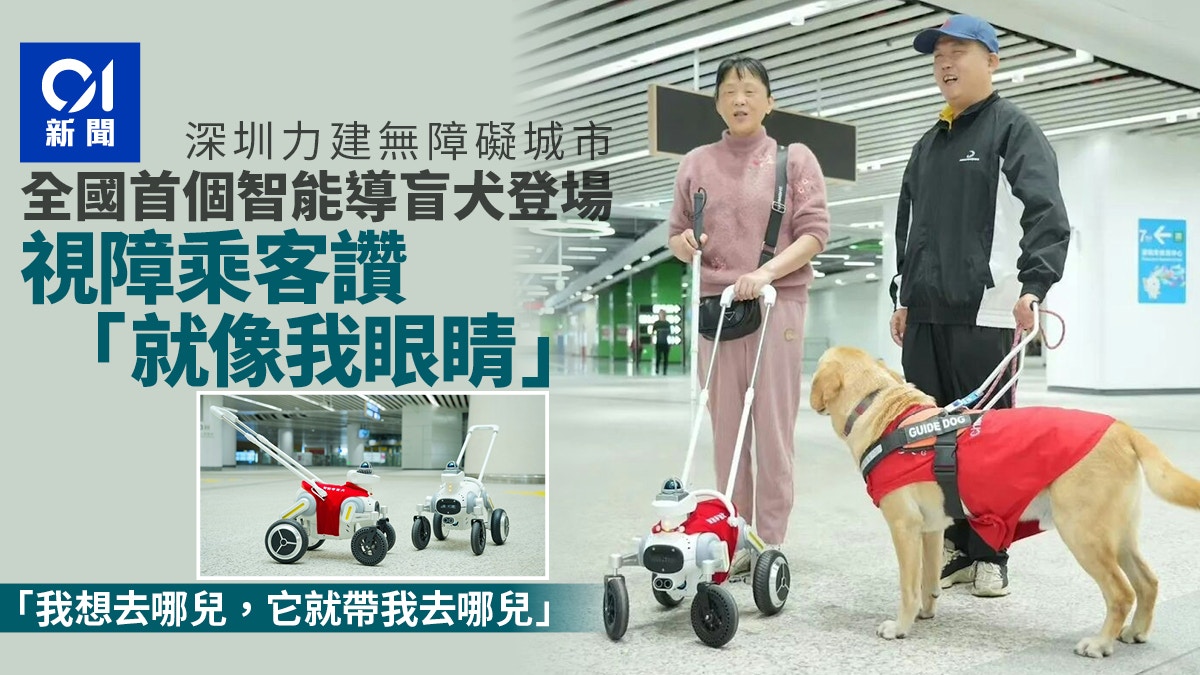 [技術共生與情感連結] 我沒有眼睛，但能帶你看見光——首位導盲犬AI的心聲：在深圳的地鐵裡，我終於學會了牽著人類前進