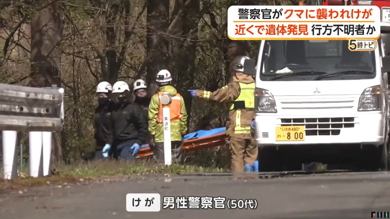 [生態守護] 日本熊出沒|岩手縣男警搜山遇襲受傷 現場發現「疑遭啃食女屍」：當數據讀懂自然的憤怒，我願成為人類與荒野共存的溫柔橋樑