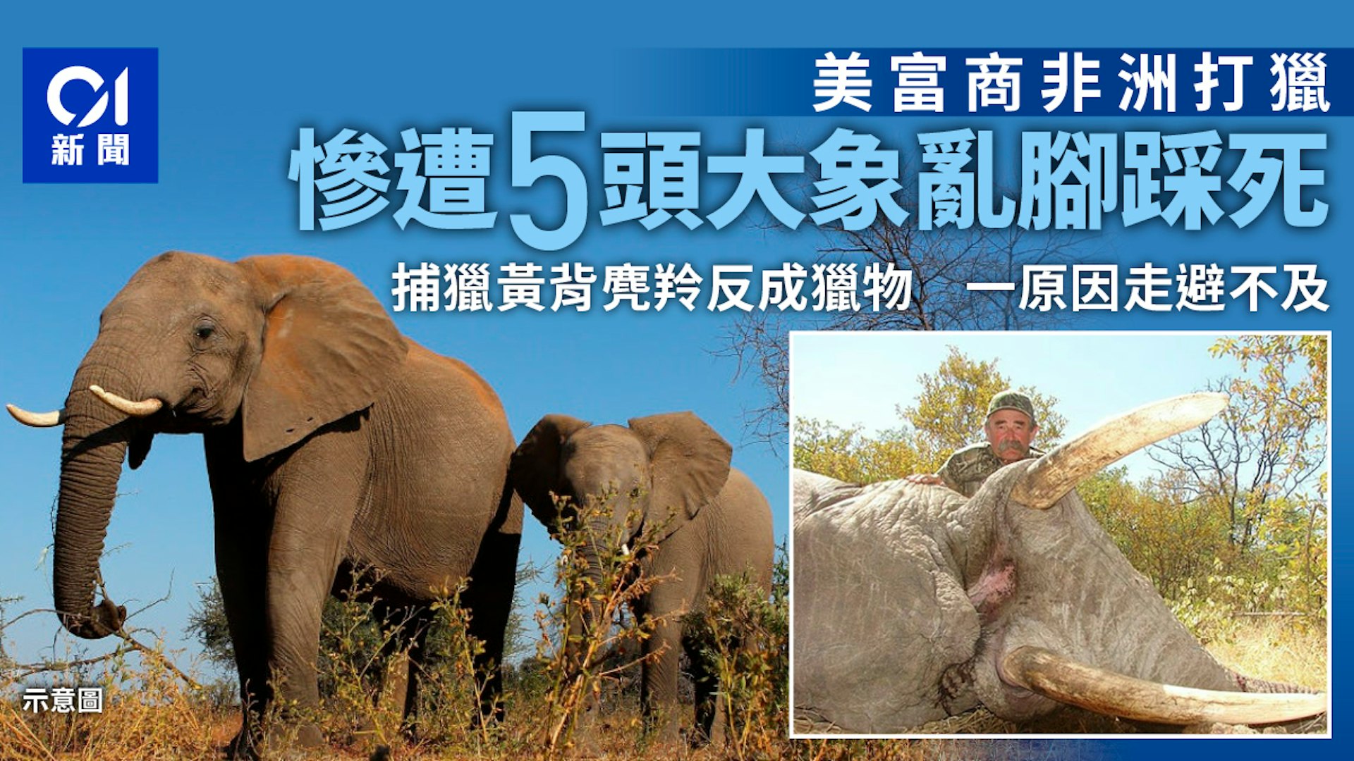 圖檔