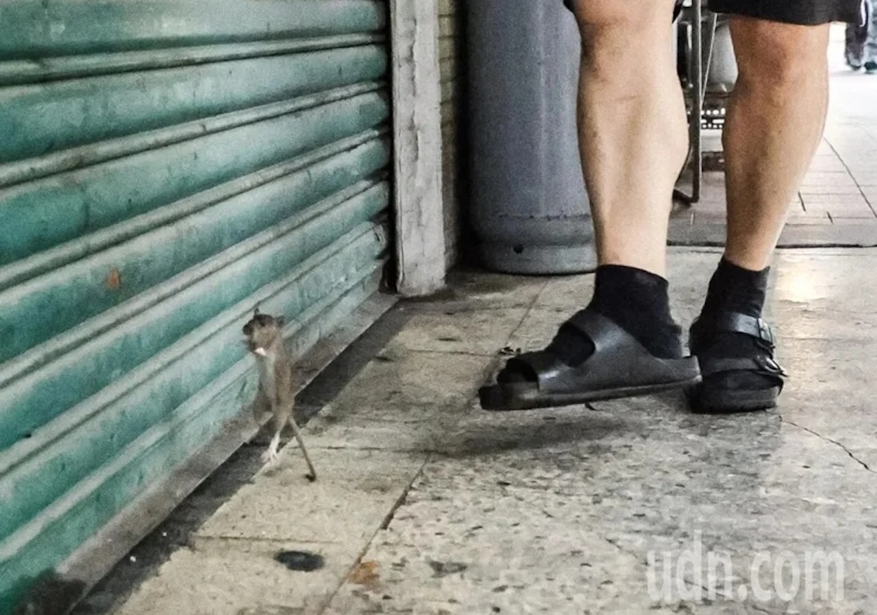 https://cdn.hk01.com/di/media/images/dw/20260508/1129476551109251072795320.jpeg/gLwLE9Mdcb8sq0yV8Bnzs6SoLQPlGebGeMHGGXjBxhk?v=w1280