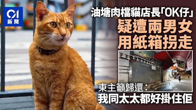 https://cdn.hk01.com/di/media/images/dw/20260510/1130287338174287872308912.jpeg/ynbiSrBDornWyrqX1Y9TwGTMtoKZW1TNJMGu7CTBruw?v=w640r16_9