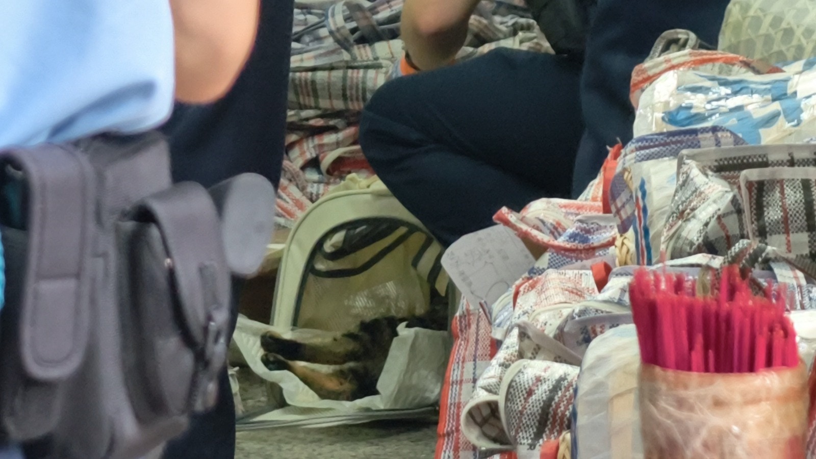 https://cdn.hk01.com/di/media/images/dw/20260524/1135280867380301824098675.jpeg/O4lVsIFbrSgU0nasYcvwodcvVafObf5pKczFtCnMxbQ?v=w640