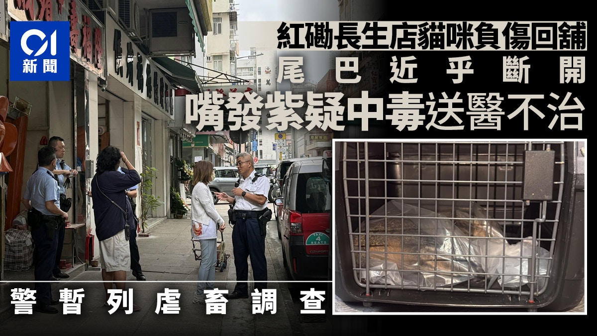 https://cdn.hk01.com/di/media/images/dw/20260524/1135298217760526336065271.jpeg/t3Nzc5xeIICsMpx_lYTtzOXvtFgKbRguCmhUBQpoVAU?v=w640r16_9