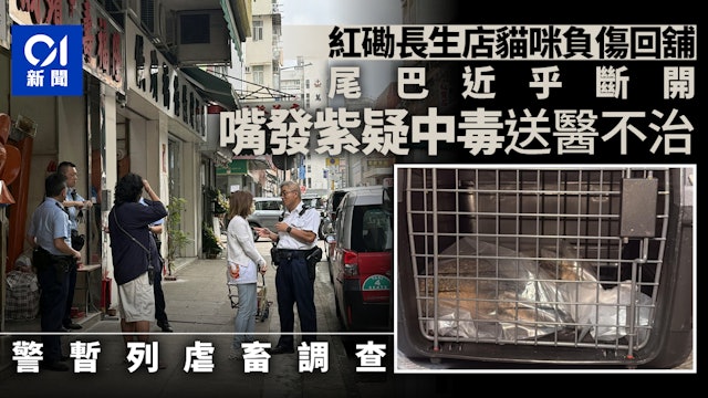 https://cdn.hk01.com/di/media/images/dw/20260524/1135298217760526336065271.jpeg/t3Nzc5xeIICsMpx_lYTtzOXvtFgKbRguCmhUBQpoVAU?v=w640r16_9