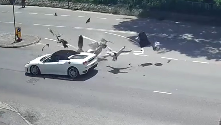 正在「U-turn」的電單車被一輛高速駛至的私家車猛撼。撞擊力巨大，鐵騎士登時被撞飛，人車飛離、凌空打觔斗。（fb／車cam L（香港群組）Johnny Cheung）