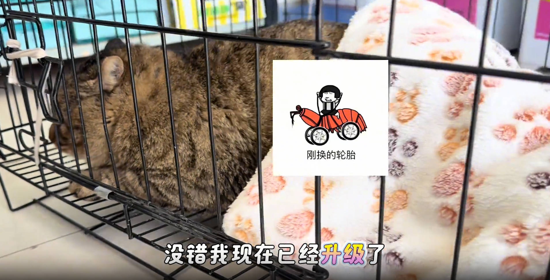圖檔