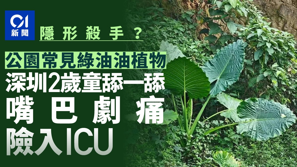 圖檔