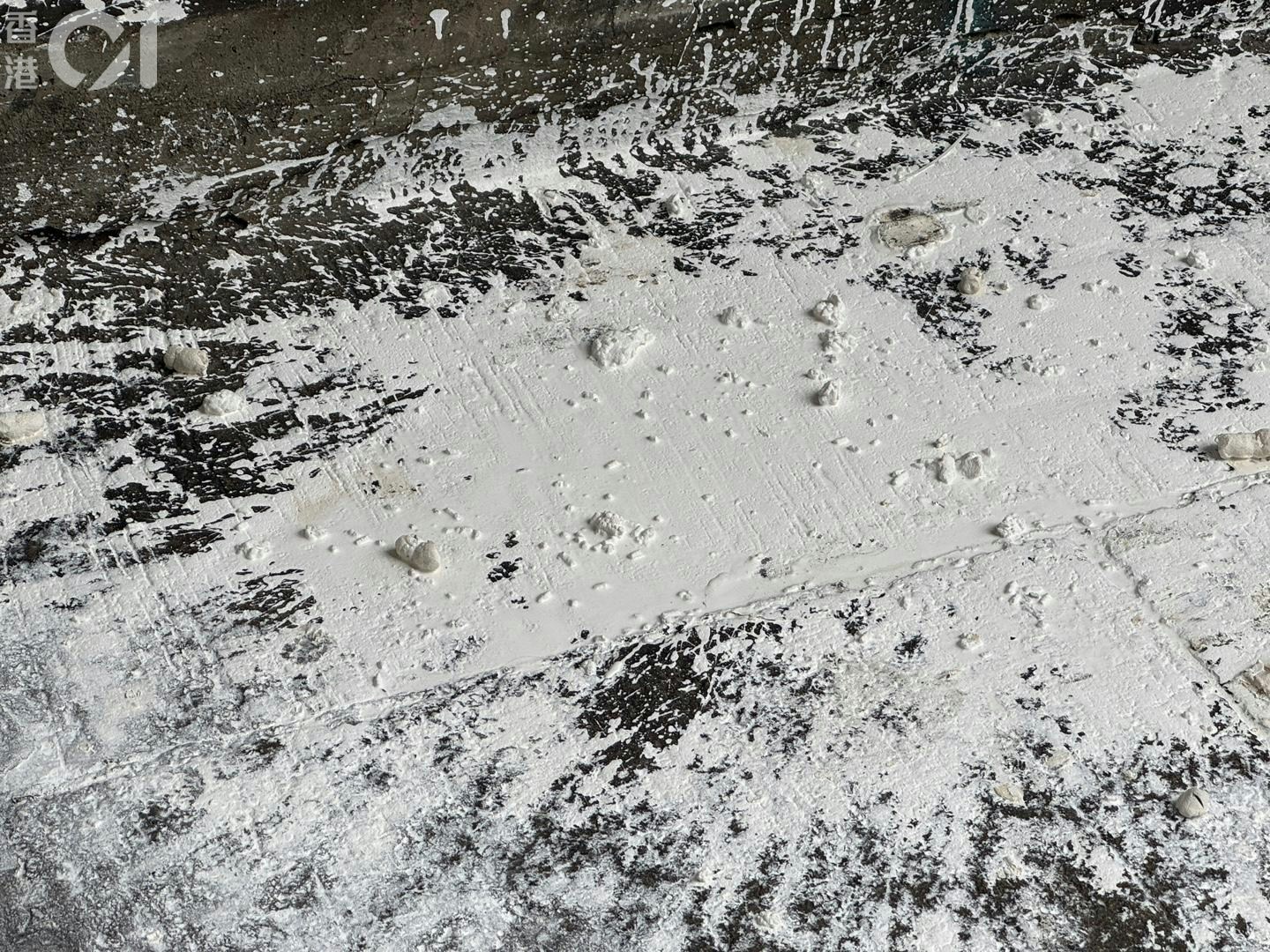 現場遺下大量白油及懷疑糞便。（鄭嘉惠攝）