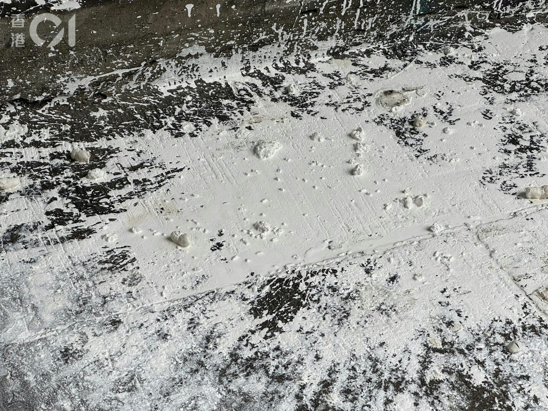 現場遺下大量白油及懷疑糞便。(鄭嘉惠攝) 現場遺下大量白油及懷疑糞便。(鄭嘉惠攝)