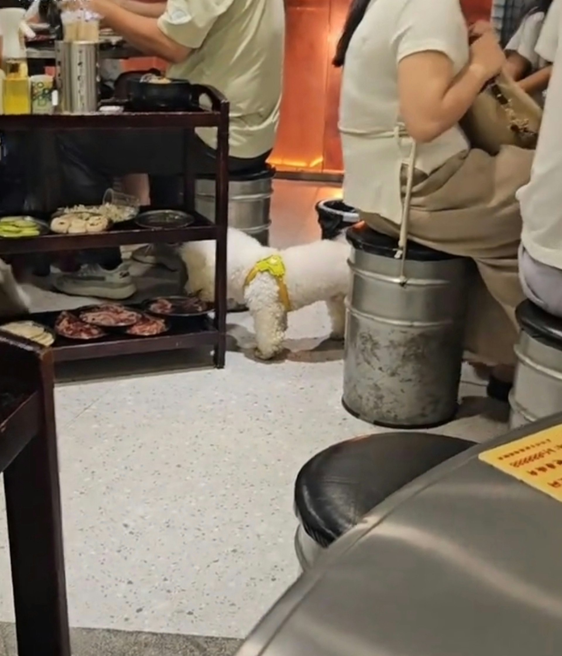 圖檔