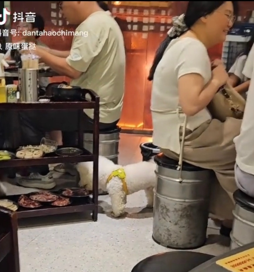 圖檔