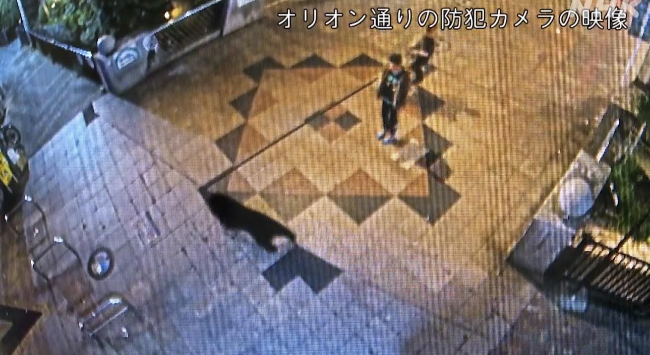 https://cdn.hk01.com/di/media/images/dw/20260608/1140655581015707648364728.jpeg/Fp453xaCwT7yyzsf4XEiKItcJIarT-p6APYW3QD2Ft0?v=w320