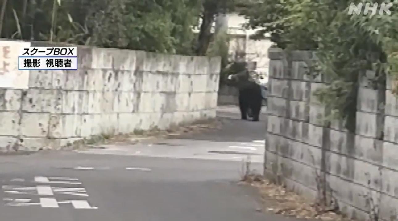 https://cdn.hk01.com/di/media/images/dw/20260608/1140655583104602112365124.jpeg/nuh2MdPsVpEFR2h_uRkObxZNZqgGEpKaAUV1dwFFdXc?v=w320