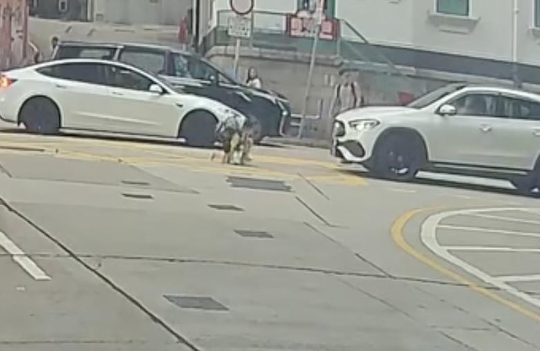 男童被私家車撞至倒地，隨即自行爬起。（Facebook  車cam L（香港群組）林芊言)