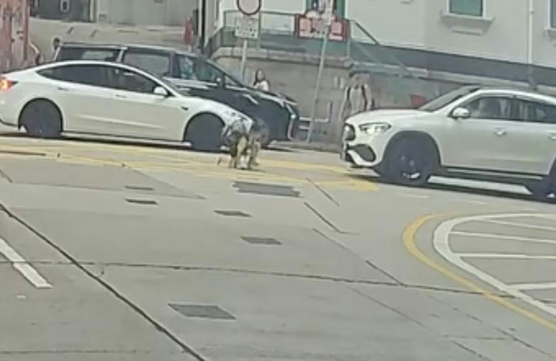 男童被私家車撞至倒地,隨即自行爬起。(Facebook 車cam L(香港群組)林芊言) 男童被私家車撞至倒地,隨即自行爬起。(Facebook 車cam L(香港群組)林芊言)