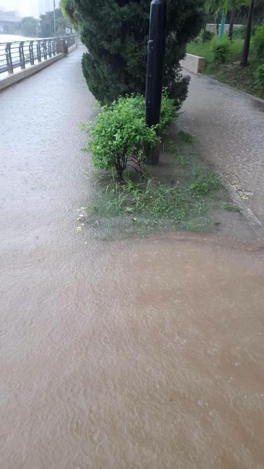 網民上載多張圖片，指屯門湖山河畔公園，由富健至新屯一帶，已經有嚴重水浸，甚至連單車徑亦被水淹浸。