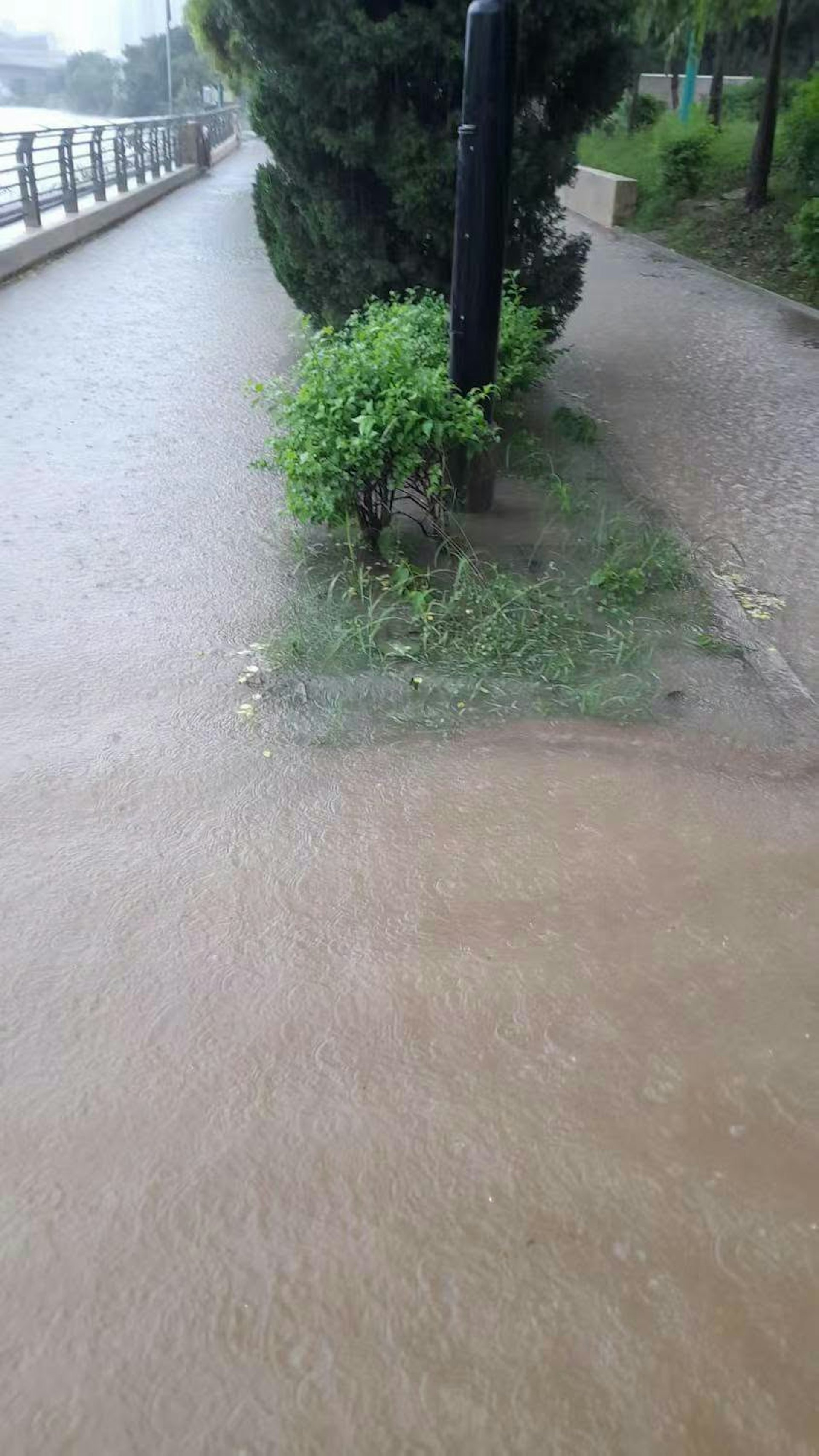 網民上載多張圖片,指屯門湖山河畔公園,由富健至新屯一帶,已經有嚴重水浸,甚至連單車徑亦被水淹浸。 網民上載多張圖片,指屯門湖山河畔公園,由富健至新屯一帶,已經有嚴重水浸,甚至連單車徑亦被水淹浸。