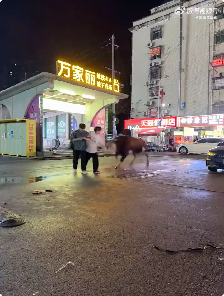 https://cdn.hk01.com/di/media/images/dw/20260621/1145387412684279808126589.png/JJtQwQiXRhCcZikBJdePgRAjoK7n-t7GnXn_rZ15_60?v=w1280