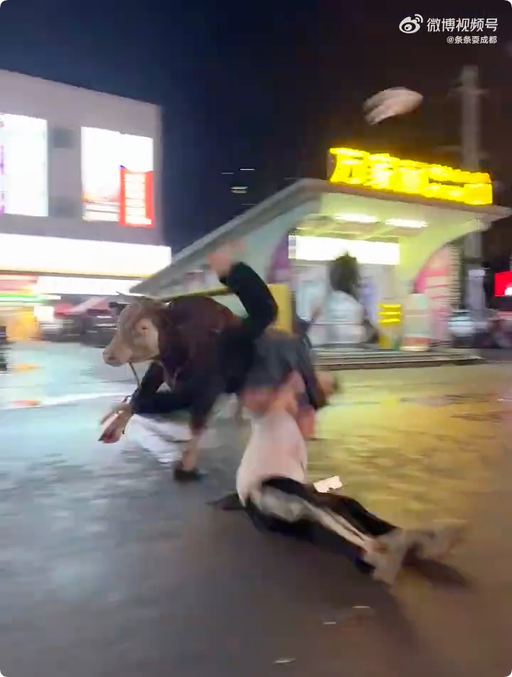 https://cdn.hk01.com/di/media/images/dw/20260621/1145387724426186752380752.png/UffctVv8LcqaoprwTe9dMnjjfzv-qQJTgKbsLYCm7C0?v=w1280