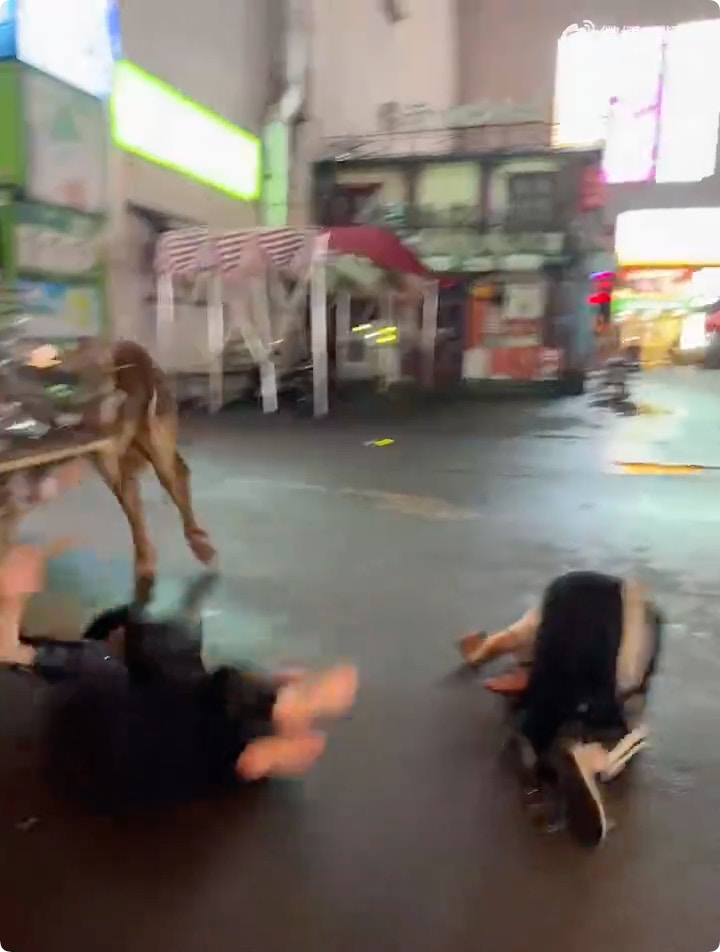 https://cdn.hk01.com/di/media/images/dw/20260621/1145387726812876800195428.png/hiwNoftRbdkJquObwG0lXnR6g5A4iNEtSFi_M0hYvzM?v=w1280