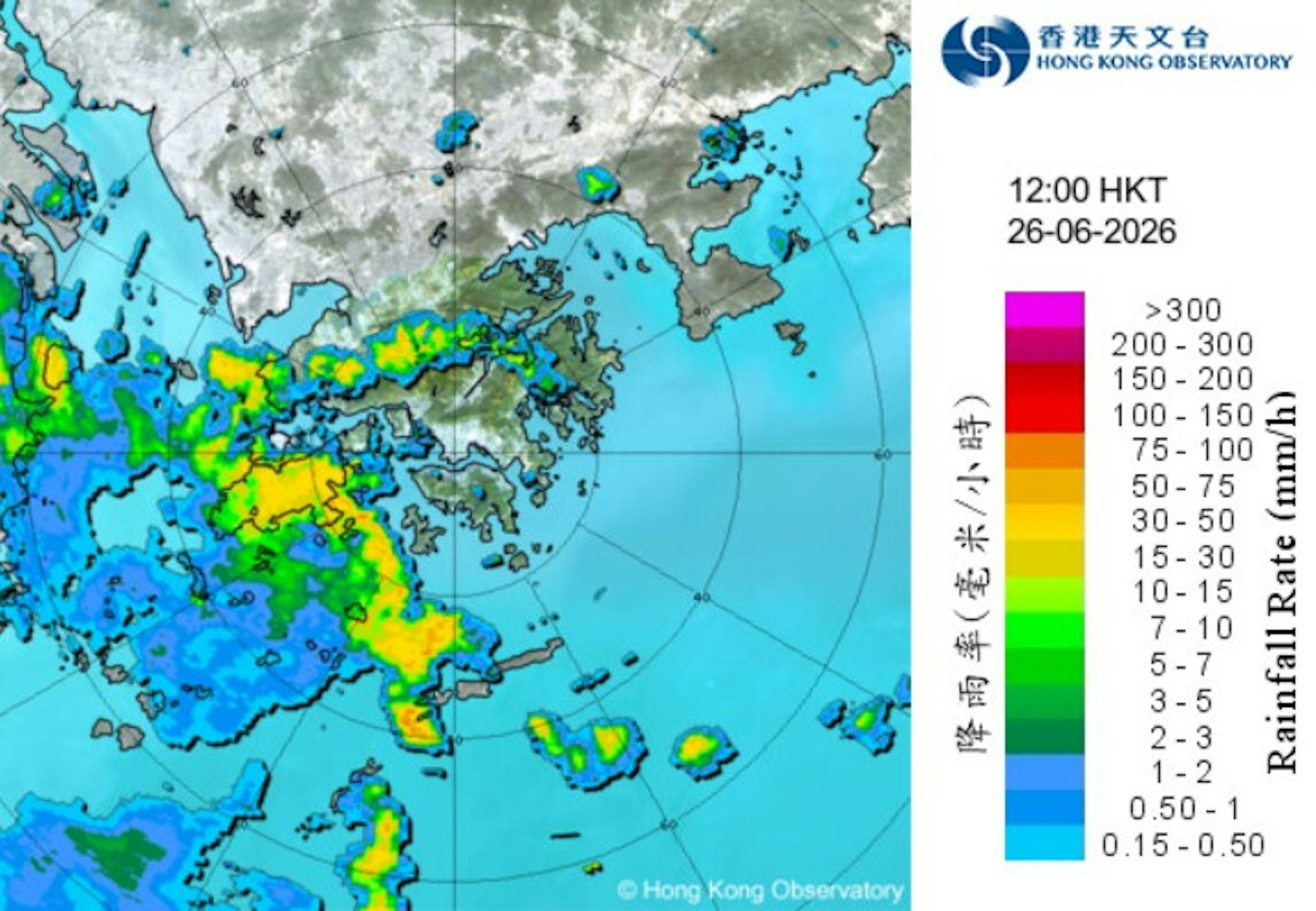 中午12時前後,大嶼山天氣十分惡劣。(香港天文台網頁) 中午12時前後,大嶼山天氣十分惡劣。(香港天文台網頁)