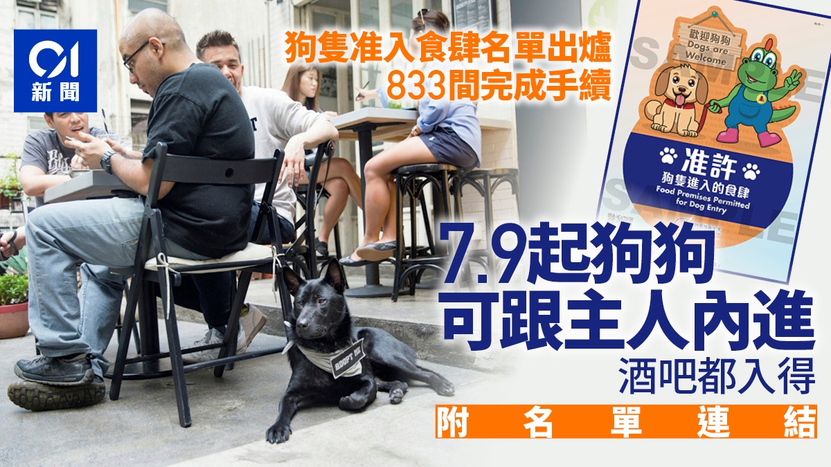 狗隻入食肆名單出爐|833間完成手續包括多間酒吧 7.9起狗隻可進