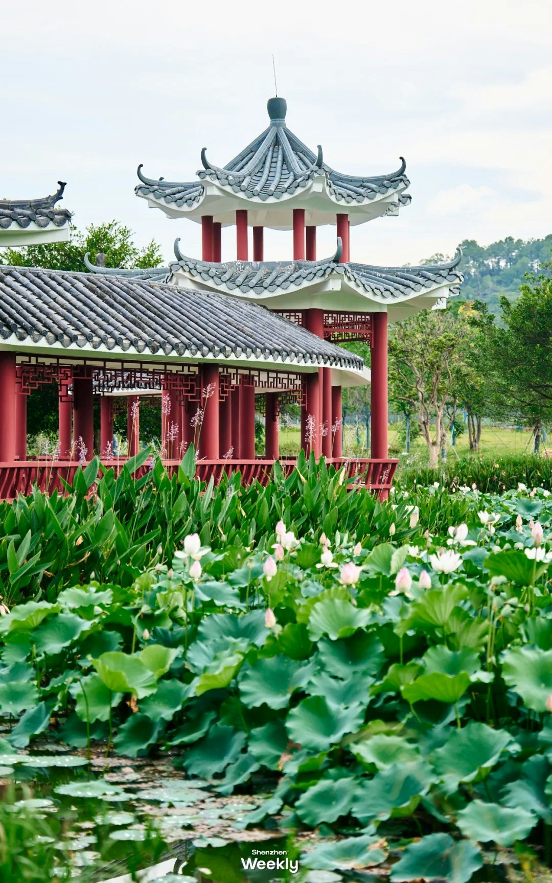 圖檔