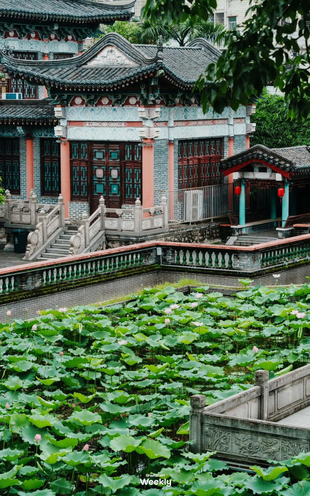 圖檔