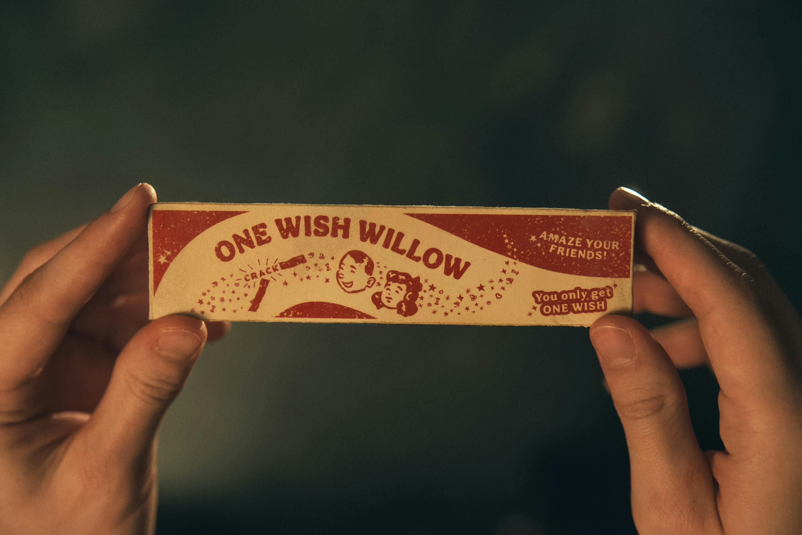 男主角得到一根號稱能實現任何願望的神秘「一願柳枝」（One Wish Willow）。在強烈的渴望驅使下，他偷偷許下心願，祈求妮琪會死心塌地愛上自己。（《愛你致死不渝》劇照）
