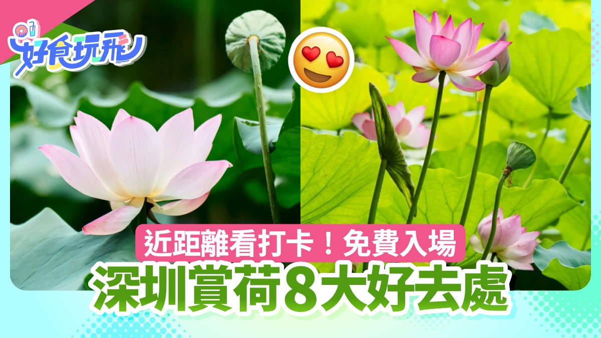 圖檔