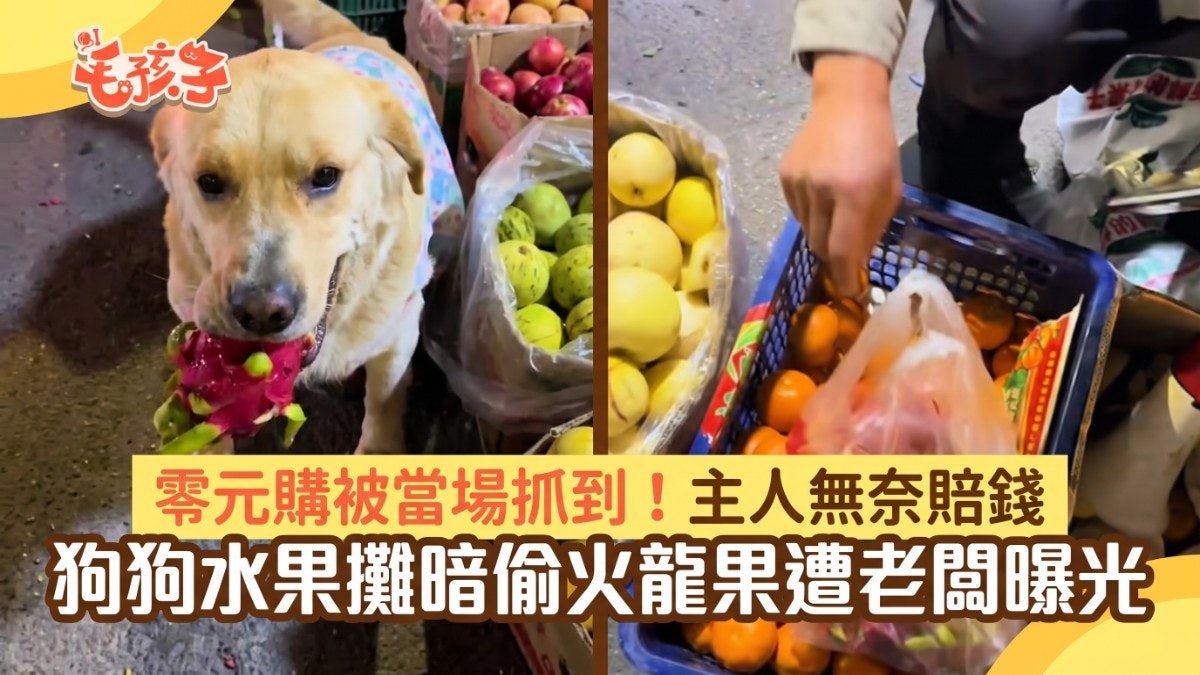 圖檔