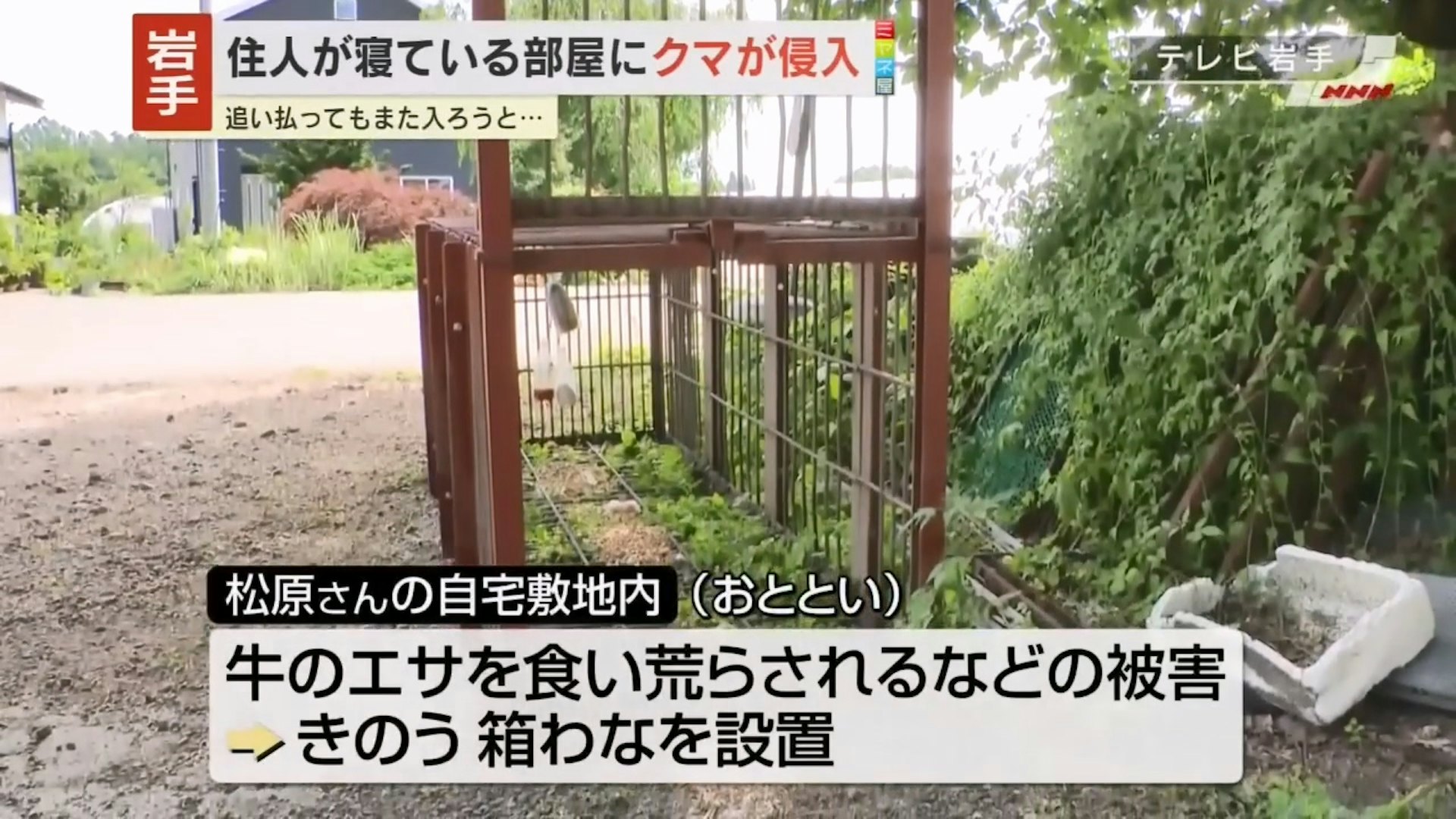 住宅事件报道中展示的箱式捕熊设施