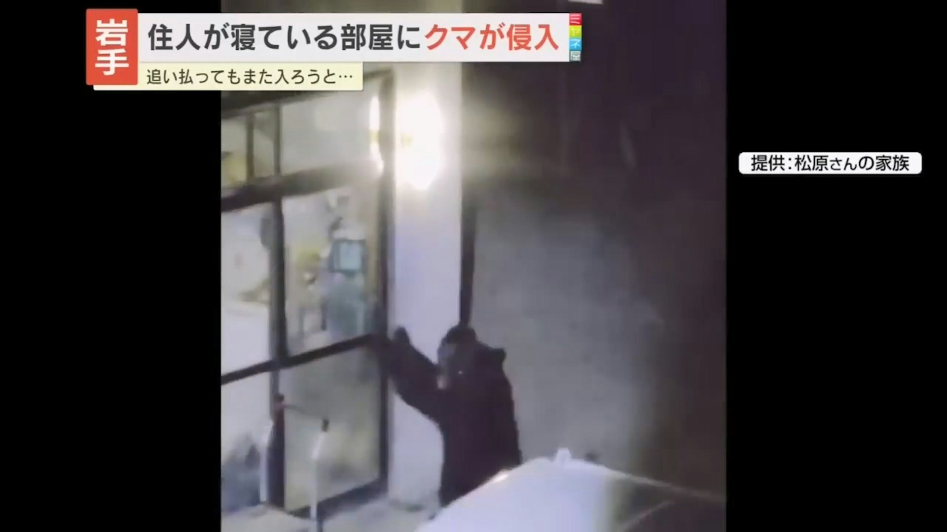 黑熊站立并接触住宅门窗的监控画面